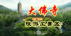 美女被操.www中国浙江-新昌大佛寺旅游风景区